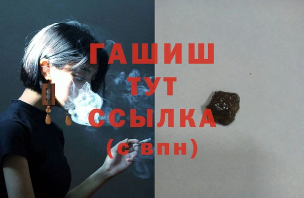 стаф Балахна