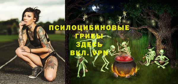 бошки Беломорск