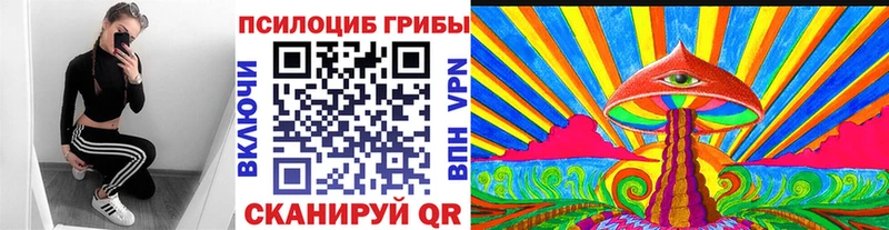 кракен вход  Олёкминск  Псилоцибиновые грибы прущие грибы 